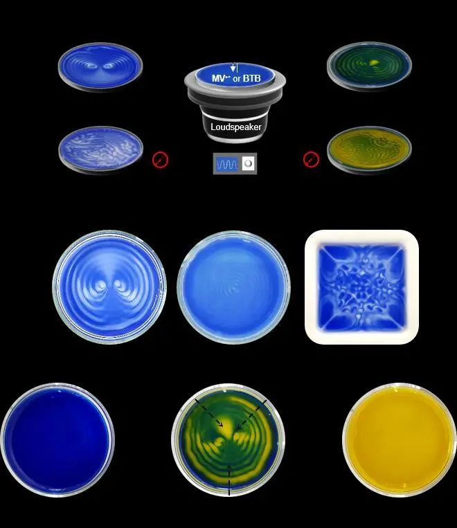 化学反应让声音看得见 Nature Chemistry