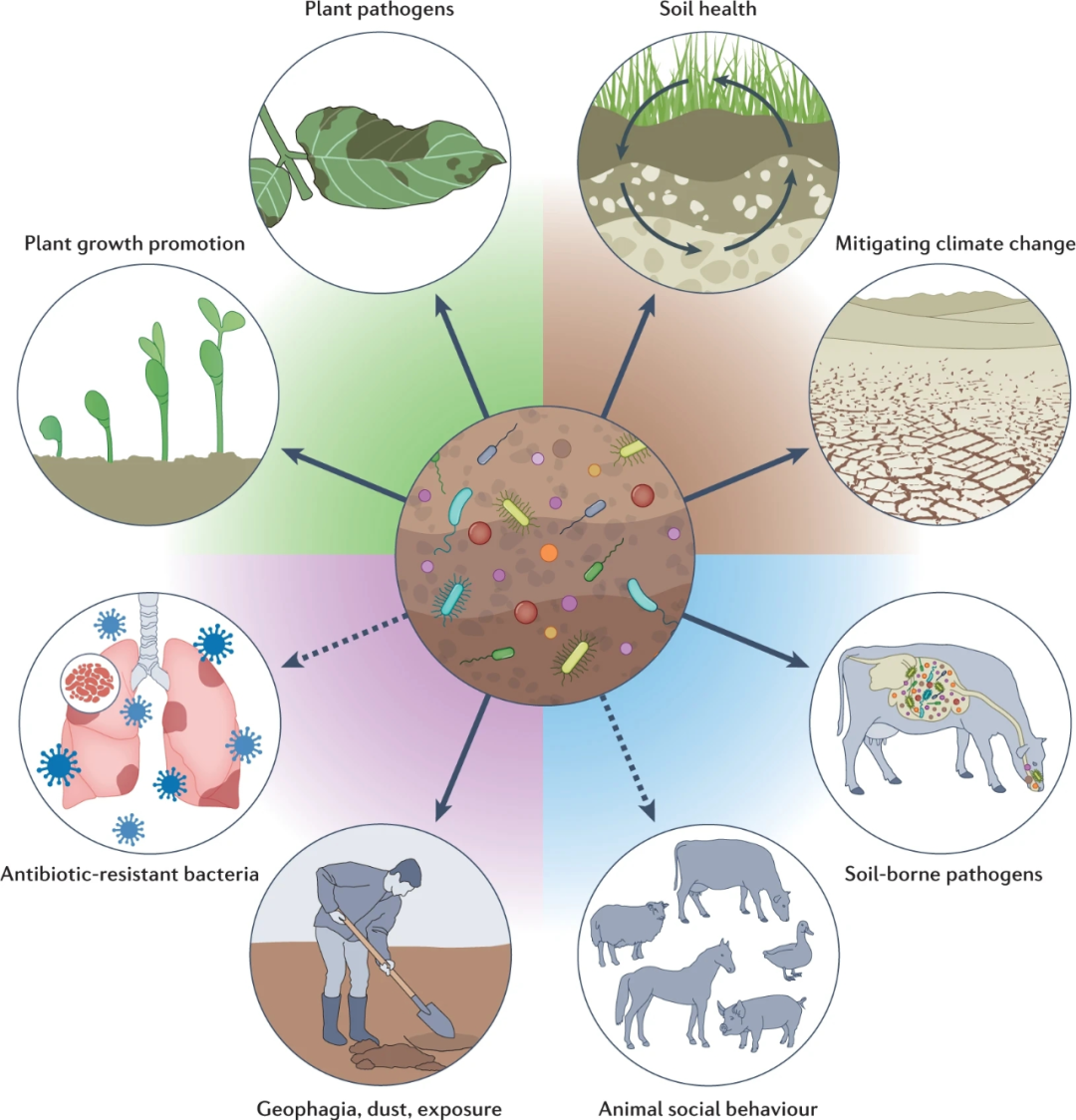 NAT REV MICROBIOL (IF:78.29): 土壤微生物组与全健康