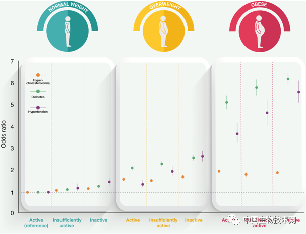 肥胖但健康 只是个幻想